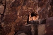 Zuengelnde Kapkobra hinter einem Felsblock (00017394)