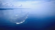 Luftaufnahme "Shark Fin Reef" in der Beqa  Lagoon auf Fiji (00018630)