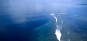 Luftaufnahme "Shark Reef" in der Beqa Lagoon auf Fij (00018631)
