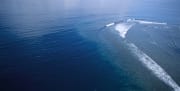 Luftaufnahme "Shark Reef" in der Beqa Lagoon auf Fij (00018633)