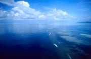 Aerial view Shark Reef Beqa Lagoon (00020920)