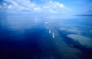 Aerial view Shark Reef Beqa Lagoon (00020922)