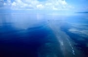 Aerial view Shark Reef Beqa Lagoon (00020923)