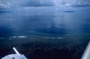 Aerial view Shark Reef Beqa Lagoon (00020932)