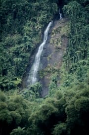 Wasserfall im Fiji Regenwald (00020715)