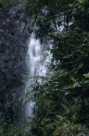 Wasserfall im Fiji Regenwald (00020794)