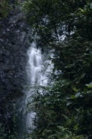 Wasserfall im Fiji Regenwald (00020796)