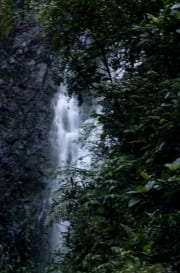 Wasserfall im Fiji Regenwald (00020801)