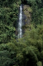 Wasserfall im Fiji Regenwald (00020836)