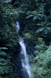 Wasserfall im Fiji Regenwald (00020837)