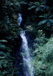 Wasserfall im Fiji Regenwald (00020840)