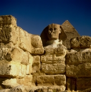Sphinx Frontalansicht mit Chephren Pyramide (00090706-1)