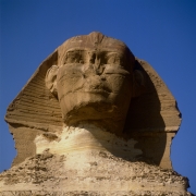 Der Blick des Sphinx von Gizeh (00090730)