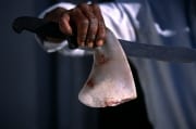 Shark Finning: Großes Messer und kleine Flosse (00015662)