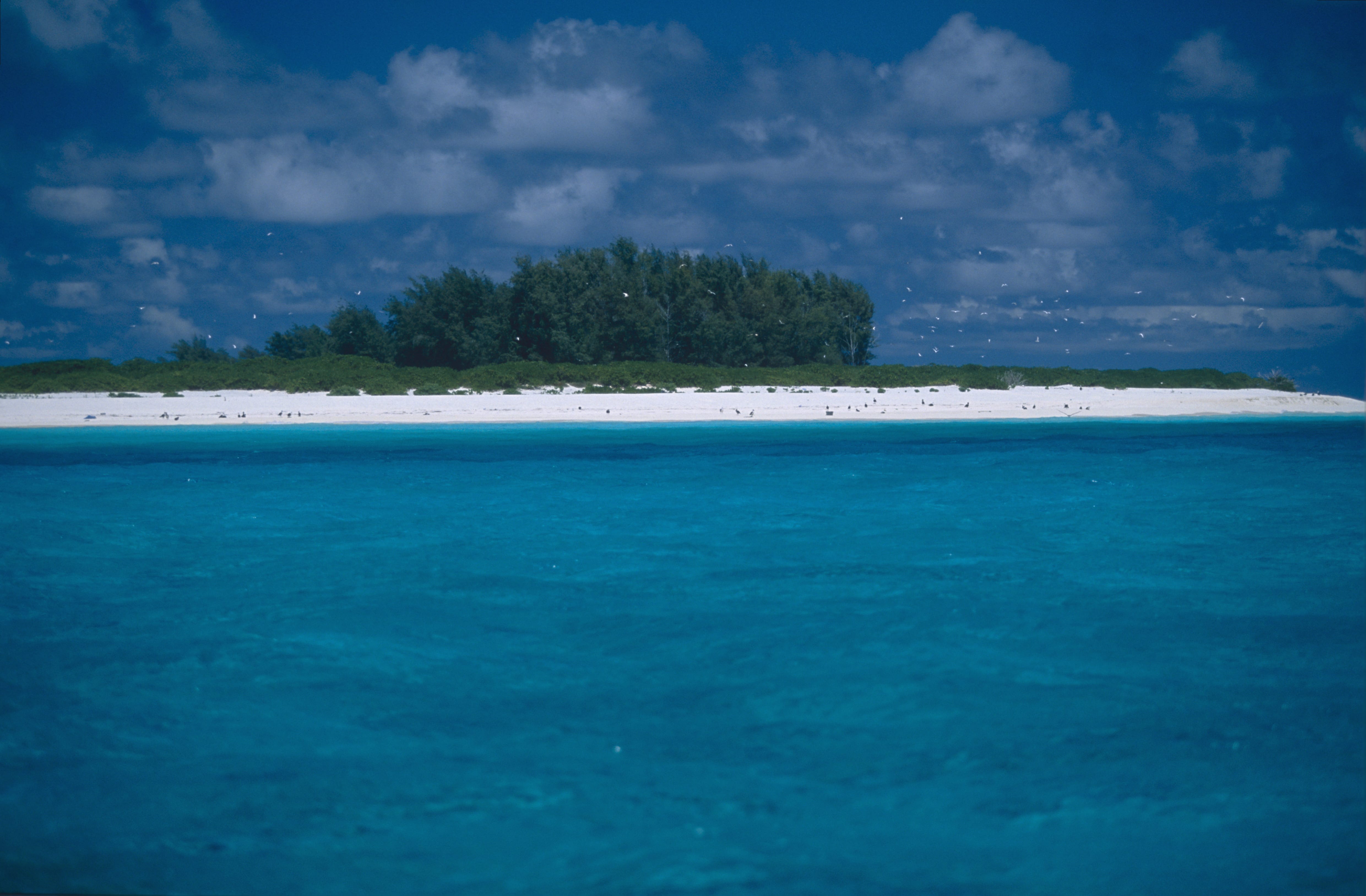 Suedsee Insel mit Lagune (00010183)
