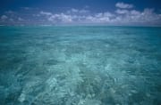 Glasklares Wasser in einer Midway Lagune (00010107)
