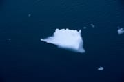 Ice floe at Cape Ann (00020409)