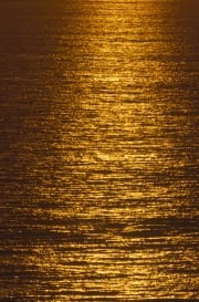 Die Meersoberflaeche leuchtet im Abendlicht (00013934)