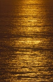 Goldene Meeresoberflaeche (00013936)