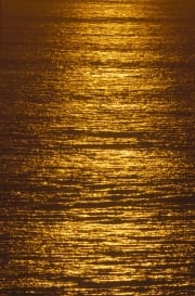 Goldene Meeresoberfaleche (00013937)