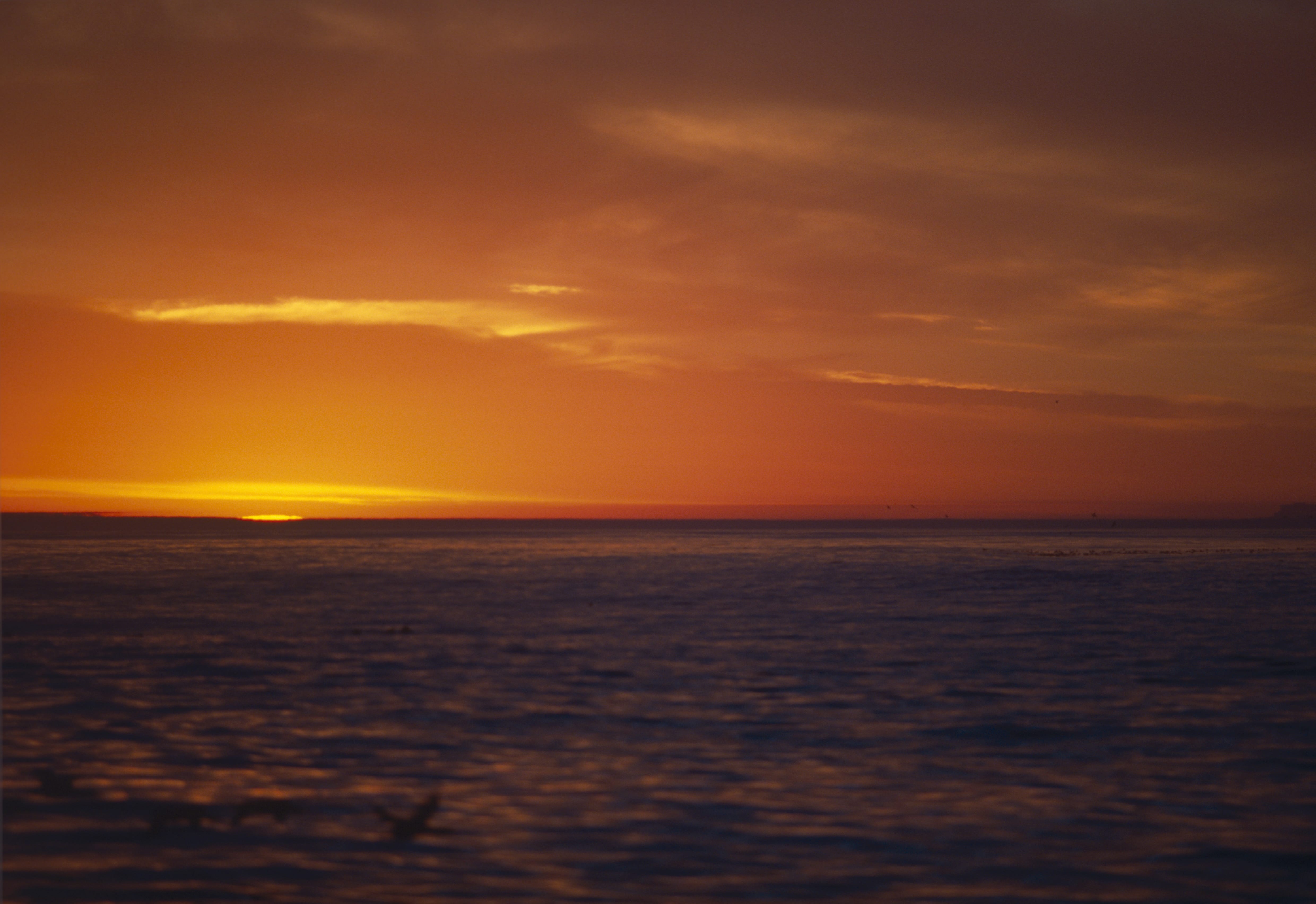 Sonnenuntergang auf dem Meer (00006972)