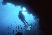 Diver in silhoutte (00000903)