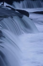 Brooks River Falls (00000906)