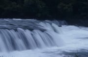 Brooks River Falls (00000911)