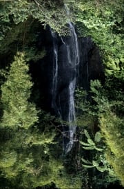 Wasserfall im Fiji Regenwald (00020688)