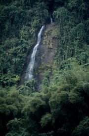 Wasserfall im Fiji Regenwald (00020713)