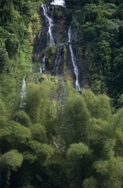 Wasserfall im Fiji Regenwald (00020734)