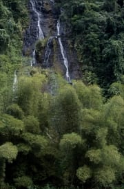 Wasserfall im Fiji Regenwald (00020745)