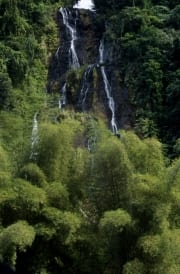 Wasserfall im Fiji Regenwald (00020758)