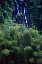 Wasserfall im Fiji Regenwald (00020810)