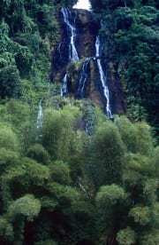 Wasserfall im Fiji Regenwald (00020811)
