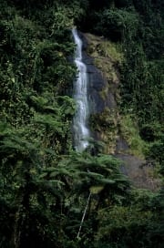 Wasserfall im Fiji Regenwald (00020828)
