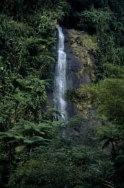 Wasserfall im Fiji Regenwald (00020830)