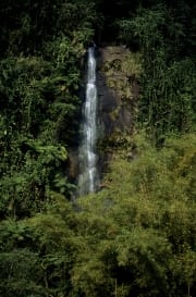 Wasserfall im Fiji Regenwald (00020832)