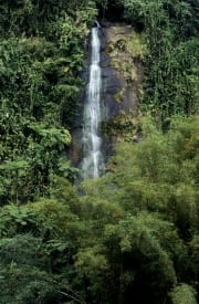 Wasserfall im Fiji Regenwald (00020834)