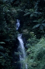 Wasserfall im Fiji Regenwald (00020838)