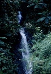 Wasserfall im Fiji Regenwald (00020839)
