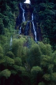 Wasserfall im Fiji Regenwald (00029813)