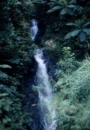 Wasserfall im Fiji Regenwald (00029830)