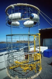 Shark cage on the boat (00000465)