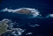 Dyer Island, Shark Alley und Geyser Rock (00016766)