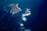 Dyer Island, Shark Alley und Geyser Rock (00016814)