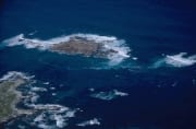 Dyer Island, Shark Alley und Geyser Rock (00016840)