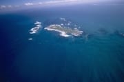 Dyer Island, Shark Alley und Geyser Rock (00016849)