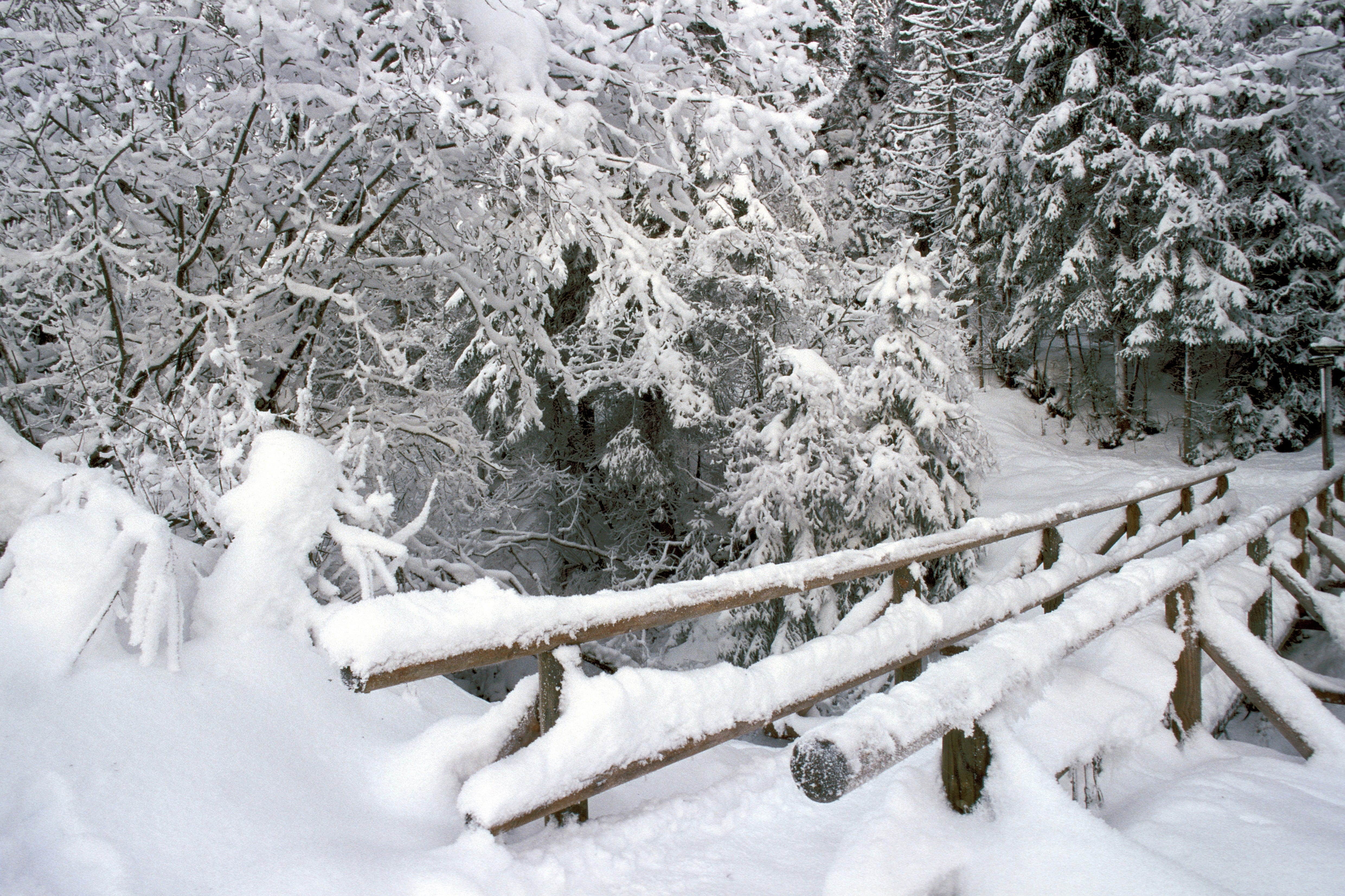 Snow-covered brook bridge (00007798)