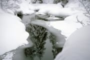 snowy creek (00007613)